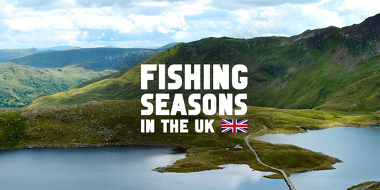 Fishing Seasons in the UK: A Guide to the Best Times and Weather